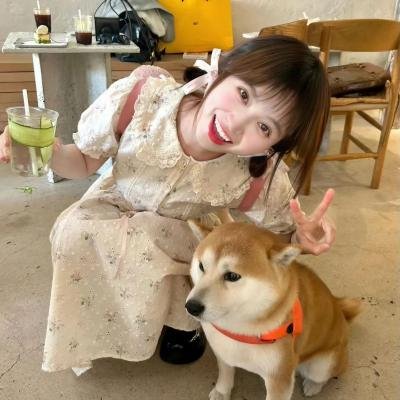 银马不会来